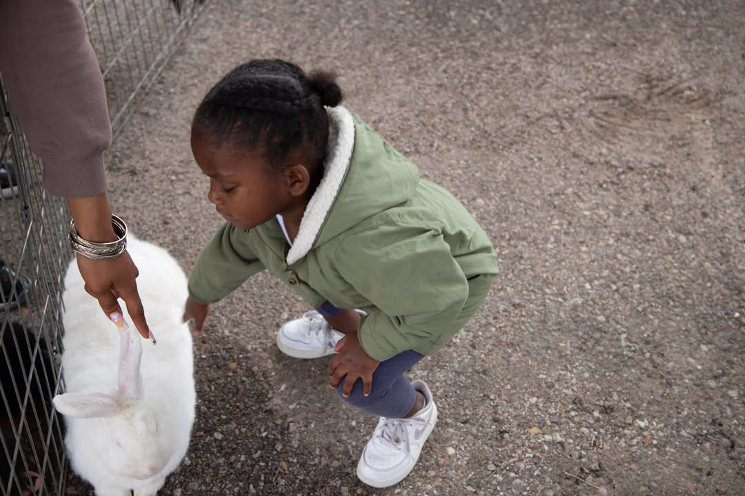 A little girl in a green coat pets a white bunny